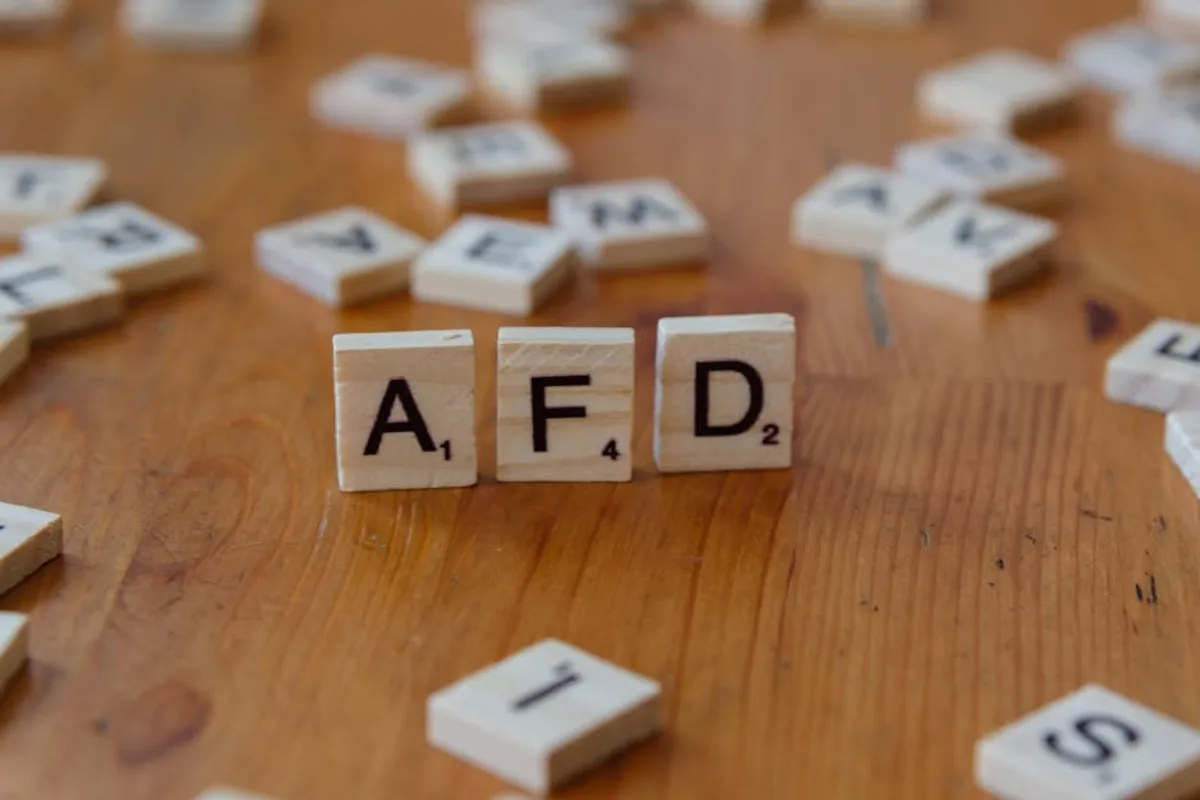 FAFO Meaning and How People Use It Online