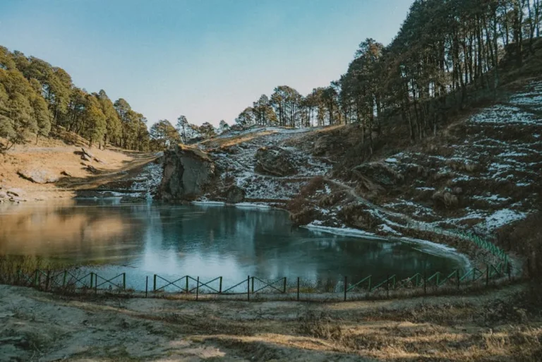 Jibhi: Complete Guide, Things to Do, and Travel Tips