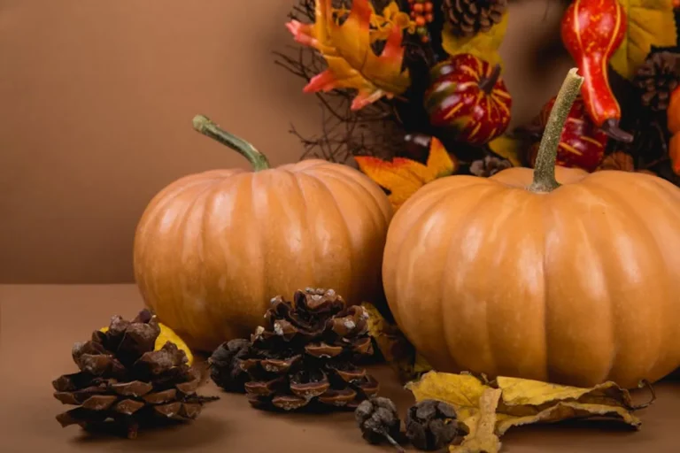 When Is Thanksgiving 2026?